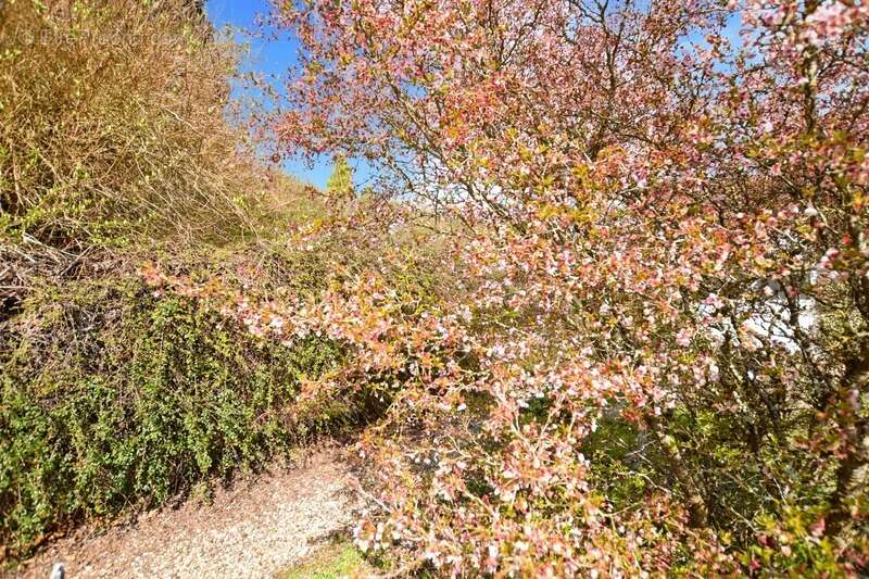 Maison à LE CREUSOT