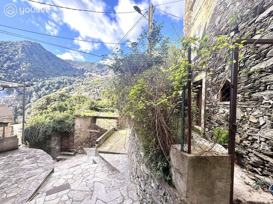 Appartement à CERVIONE