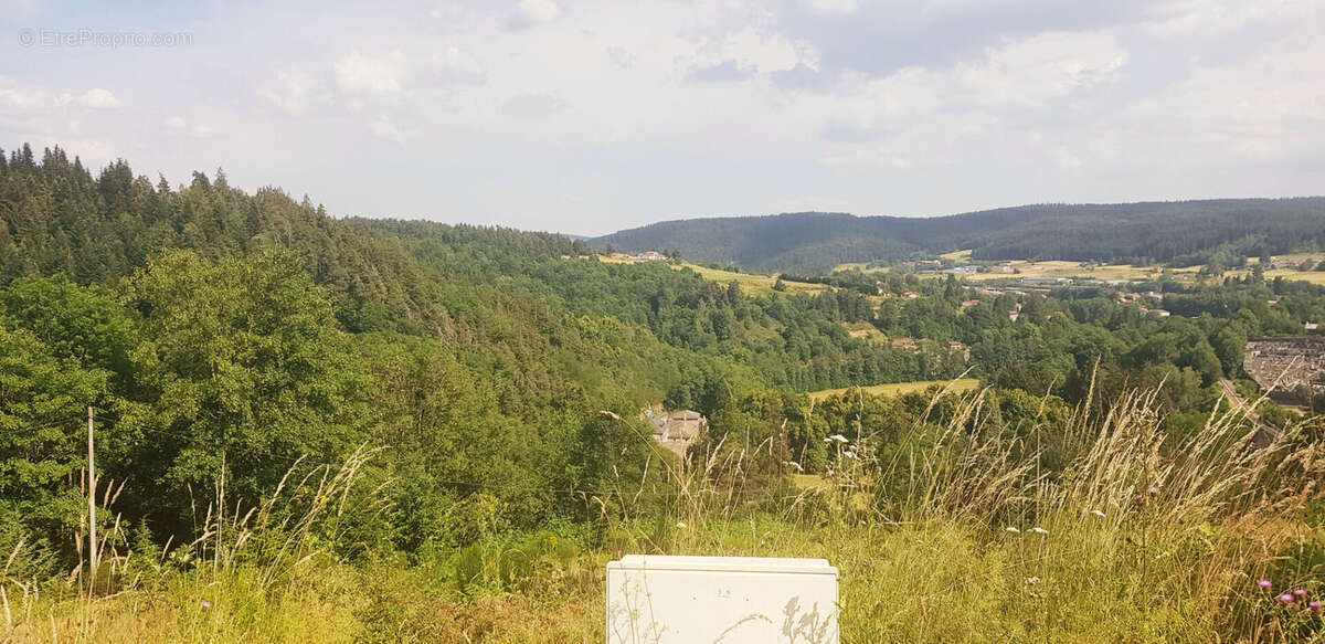 Terrain à DUNIERES