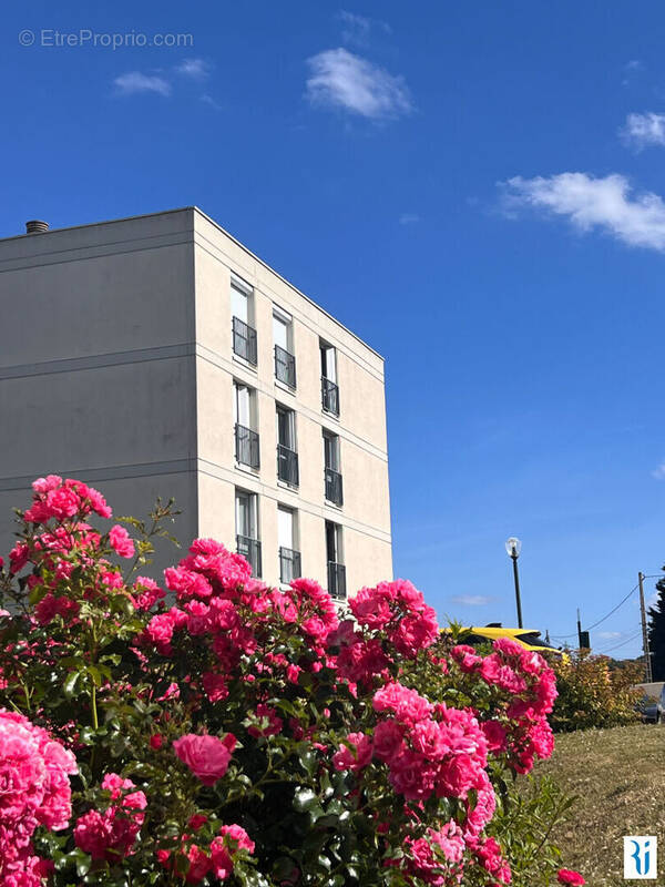 Appartement à MAROMME