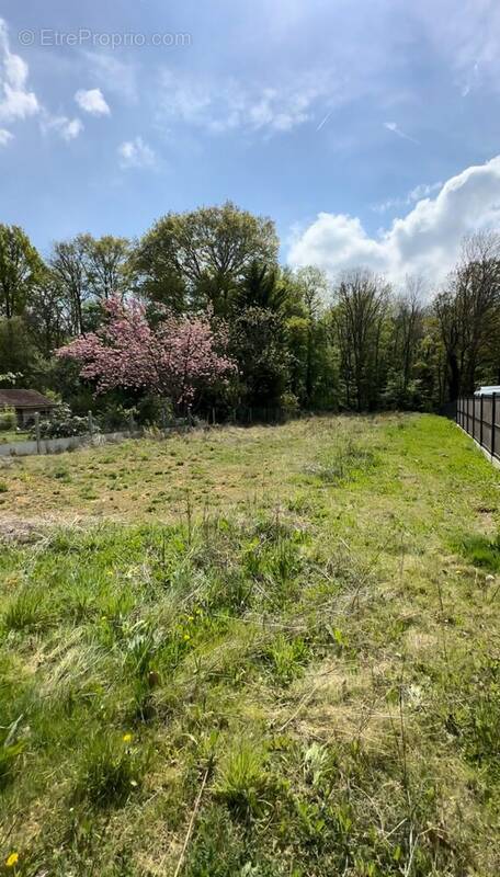 Terrain à LE MESNIL-SAINT-DENIS