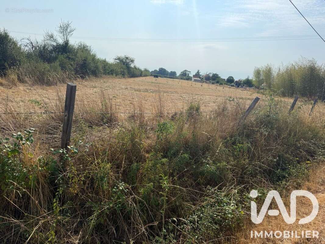 Terrain 6235 m² à Tresnay  - photo 4