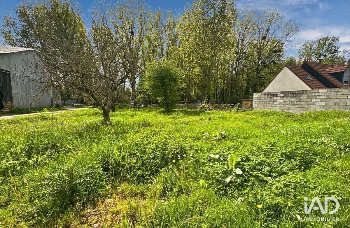 Photo 3 - Maison à NOGENT-LE-PHAYE
