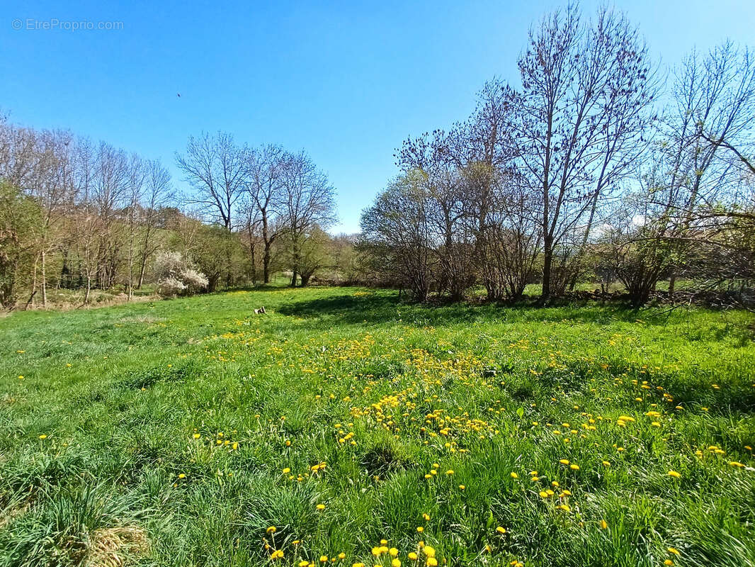 Terrain à CHOMELIX