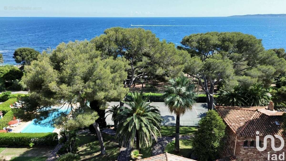 Photo 3 - Commerce à ROQUEBRUNE-SUR-ARGENS