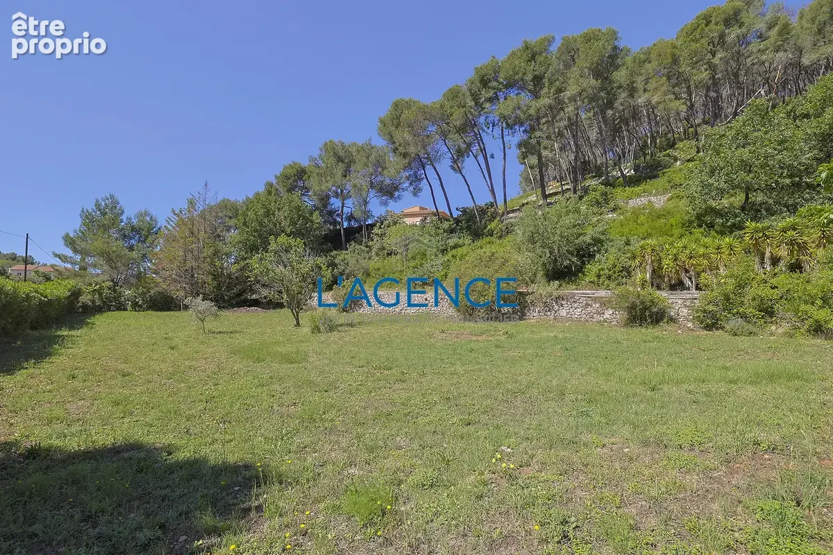 CARQUEIRANNE VILLA 233m2 - 8 Chambres  - Terrain 7023m avec piscine - photo 5