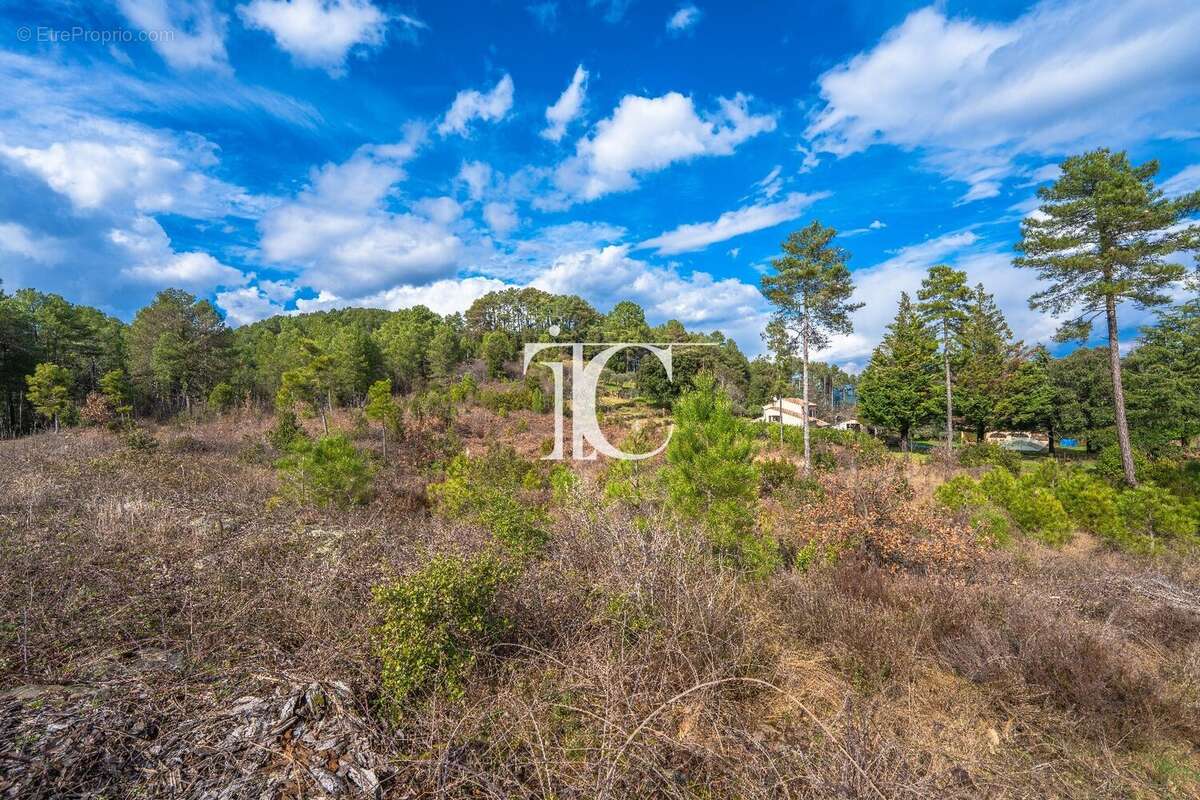 Terrain 9650m² situe plein sud - photo 2