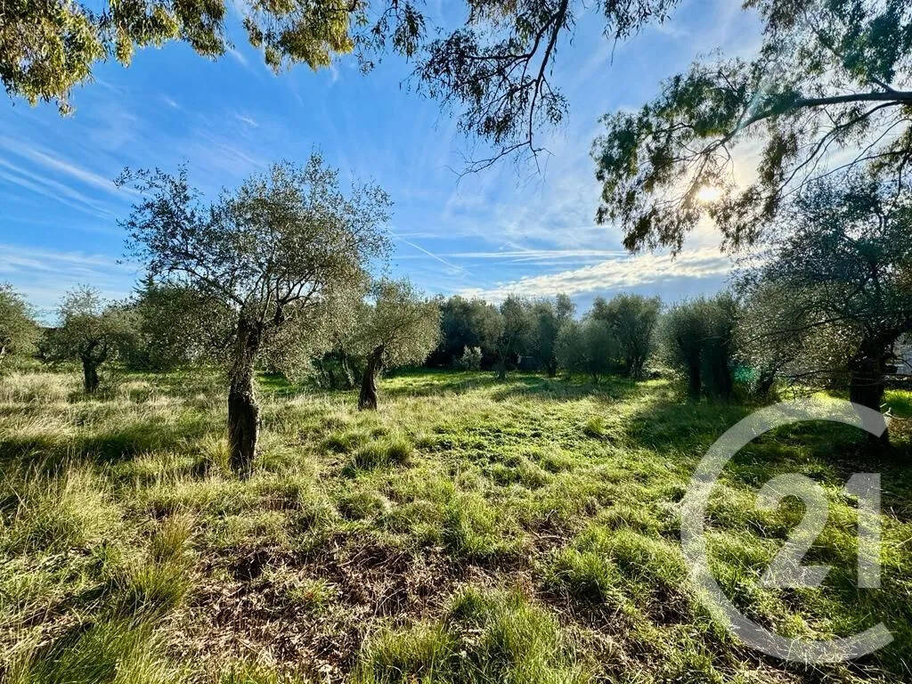 Terrain à OPIO
