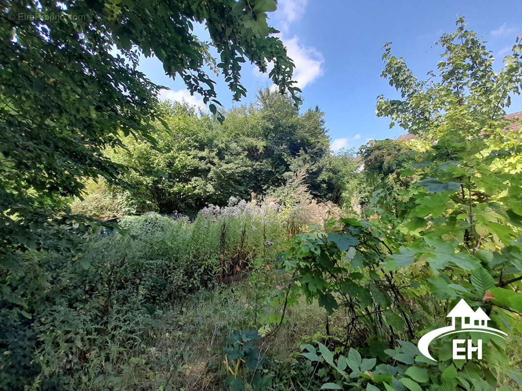 A vendre - terrain constructible de 387 m² - photo 4