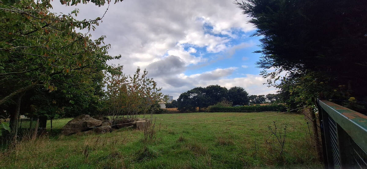 Terrain à LA BOUILLIE