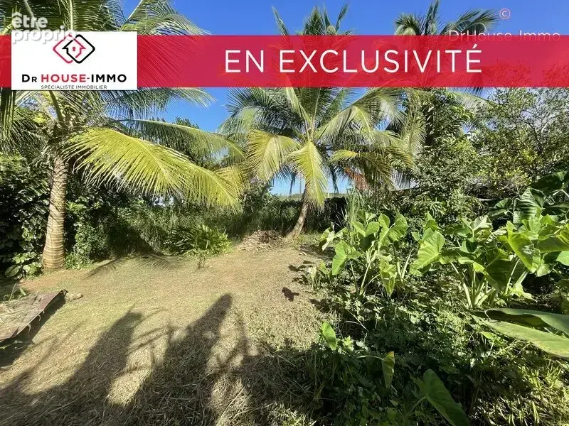 Terrain 1 232 m² à vendre à Sainte-Rose (97115) - photo 8