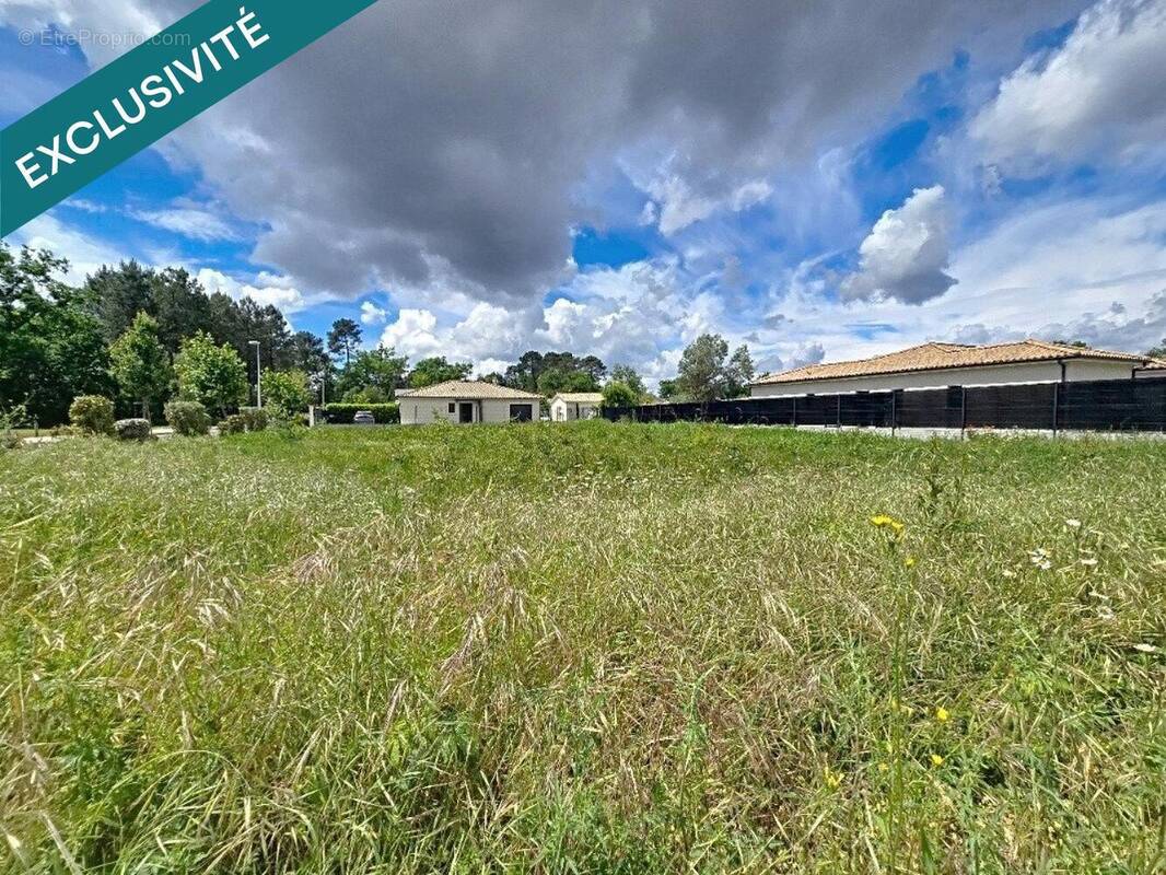 Photo 1 - Terrain à PESSAC
