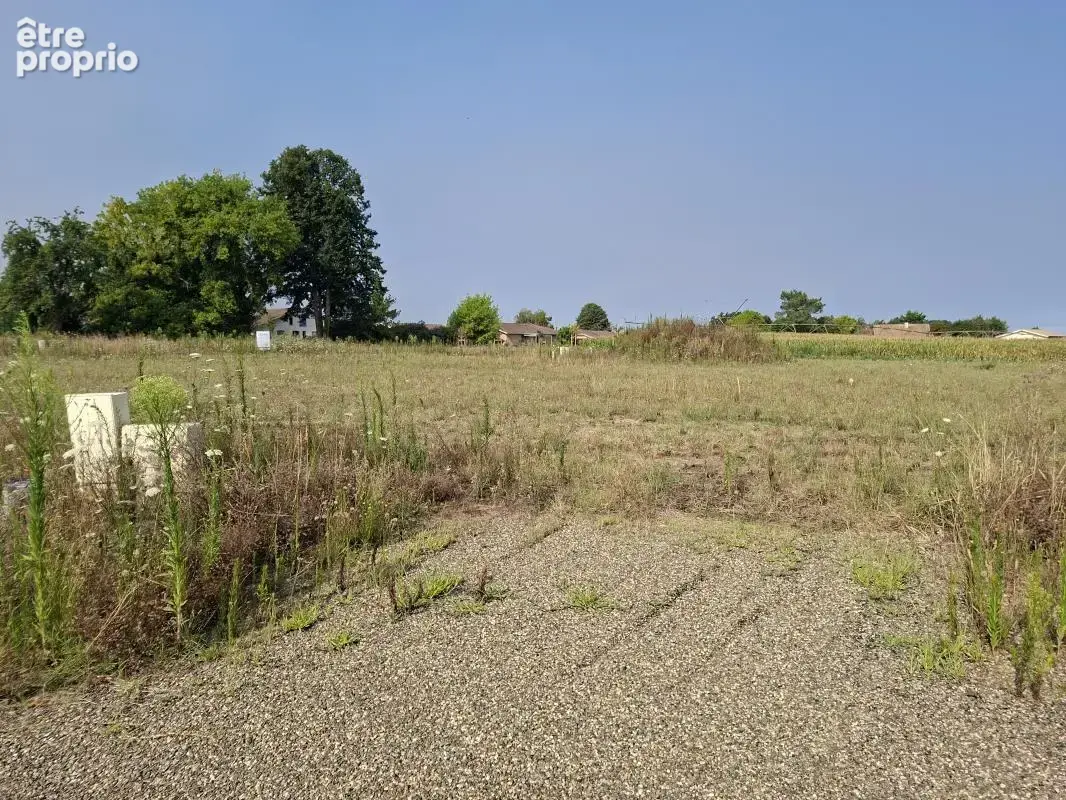 Terrain a villeneuve de marsan - photo 2