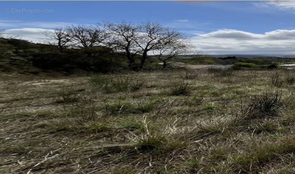 Terrain à SAINT-MARTIN-DE-VILLEREGLAN