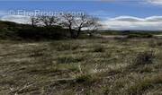 Terrain à SAINT-MARTIN-DE-VILLEREGLAN