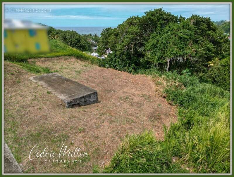 Terrain de 1232 m² vue mer au Lorrain – Lotissement La Crabière - photo 7