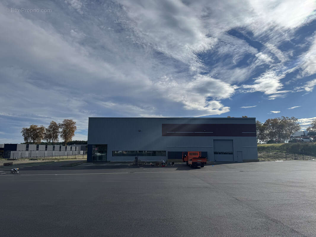 Commerce à MEES