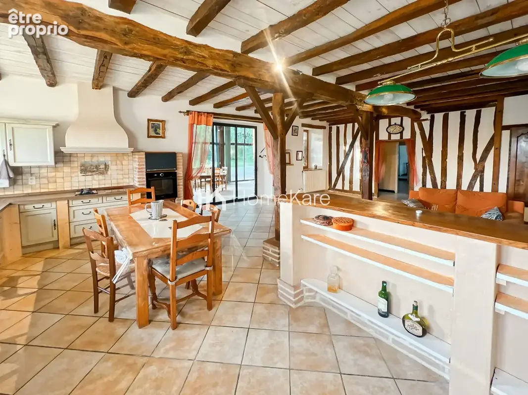 Maison 10 pièces 300 m² à vendre à L'isle-En-Dodon (31230) - photo 8