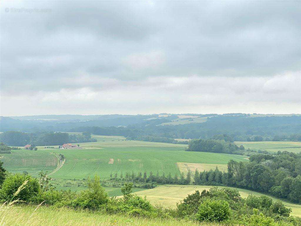Vous serez charmés par cette superbe vue - Terrain à MONTHENAULT