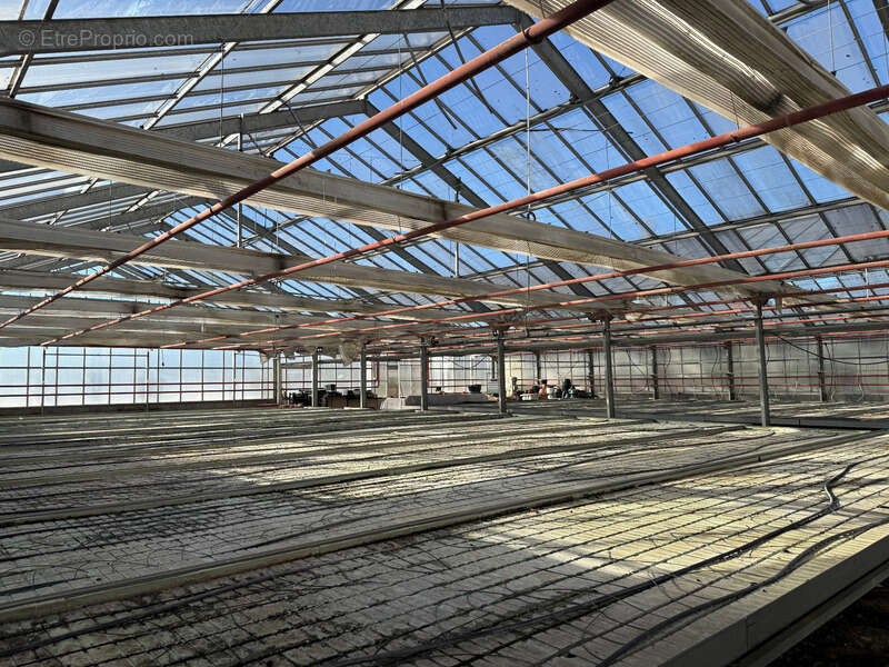 Maison à CONTAMINE-SUR-ARVE