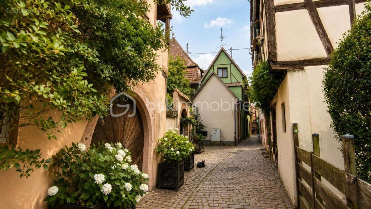 Maison de village de caractère au cœur de Riquewihr - photo 12