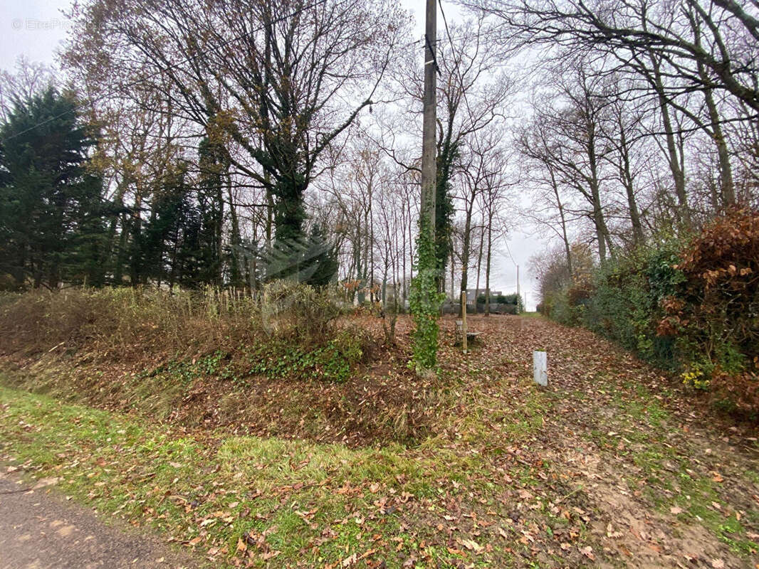 Terrain à CHARNY