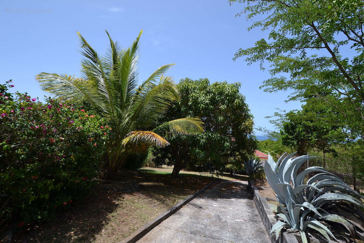 EXCLUSIVITÉ   Villa avec vue mer panoramique sur 1800 m2 de terrain. - photo 16