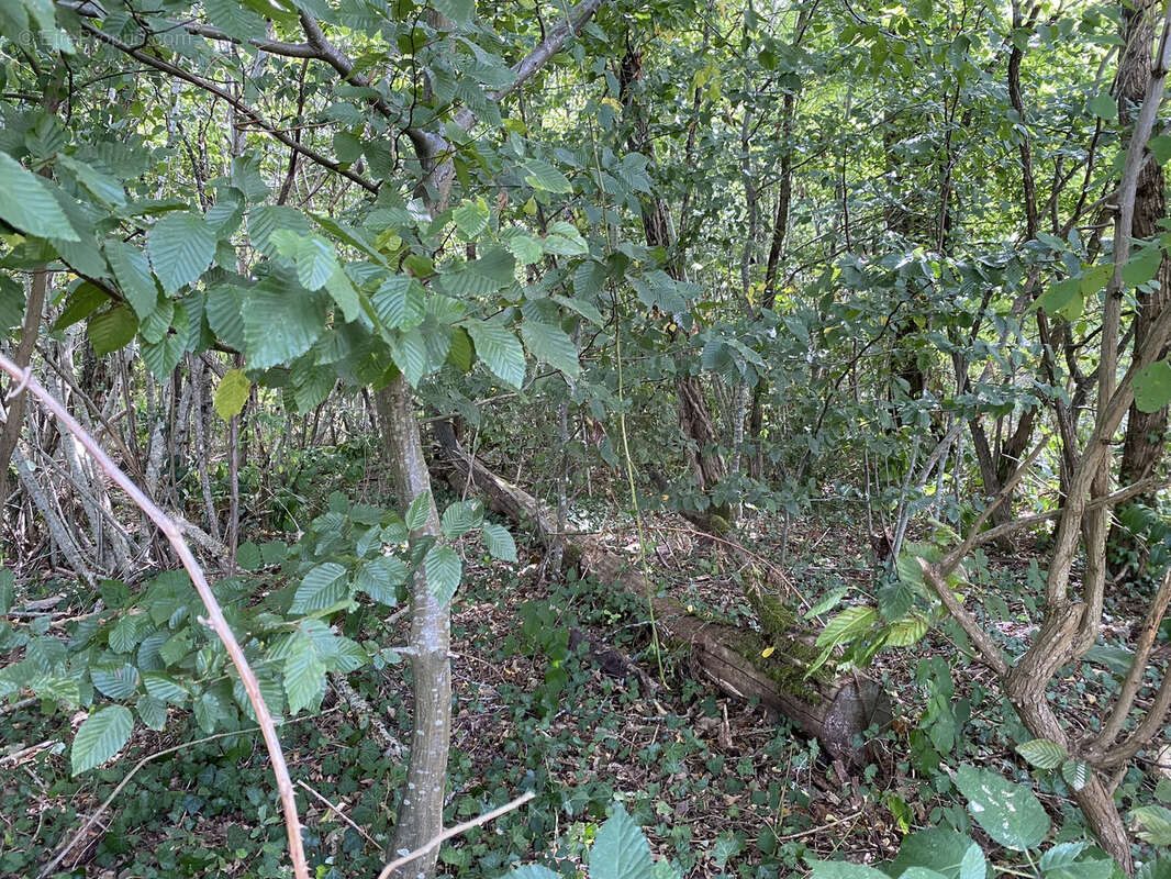 Terrain à CHANCELADE