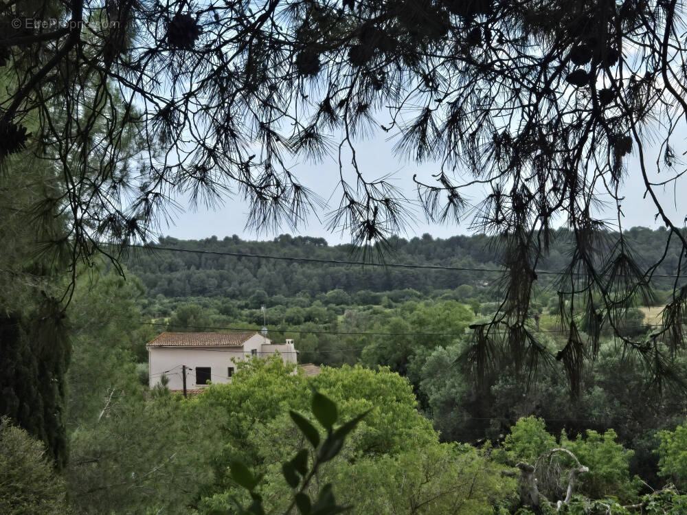 Terrain à CASTELNAU-DE-GUERS
