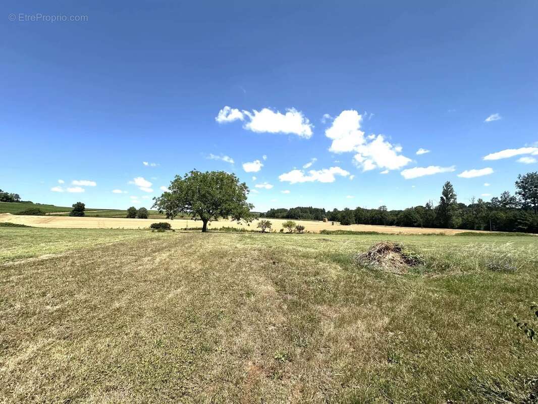 Maison à SAINT-GEORGES-DES-AGOUTS