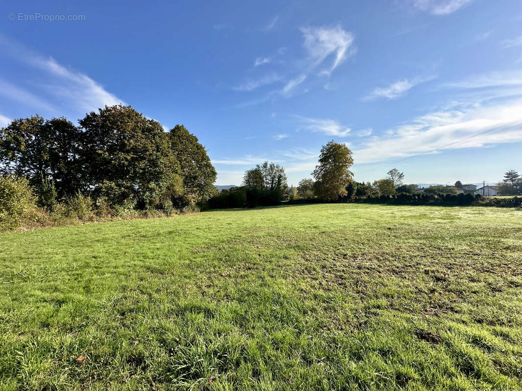 Terrain à MASPARRAUTE