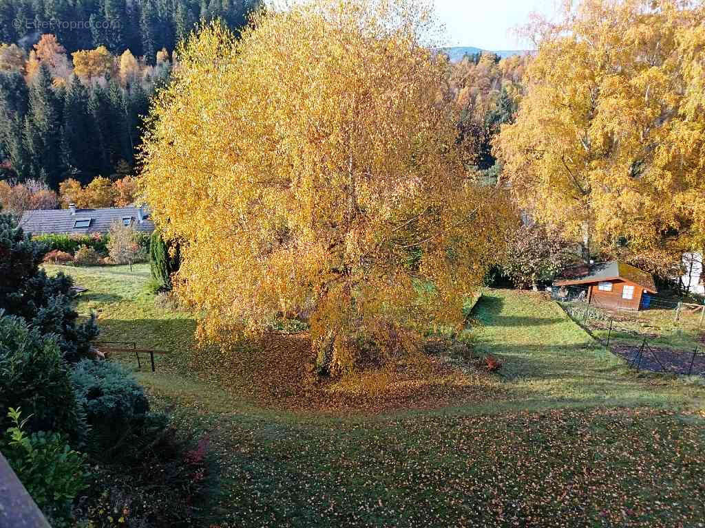 Maison à LA BRESSE