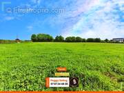 Terrain à BUIRONFOSSE