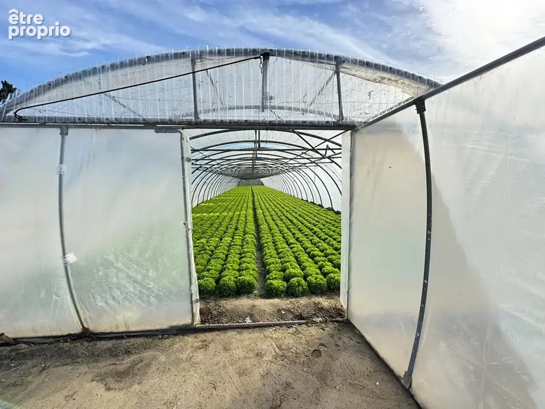 Domaine agricole Bompas et Villelongue de la Salanque 31000 m2 - photo 9
