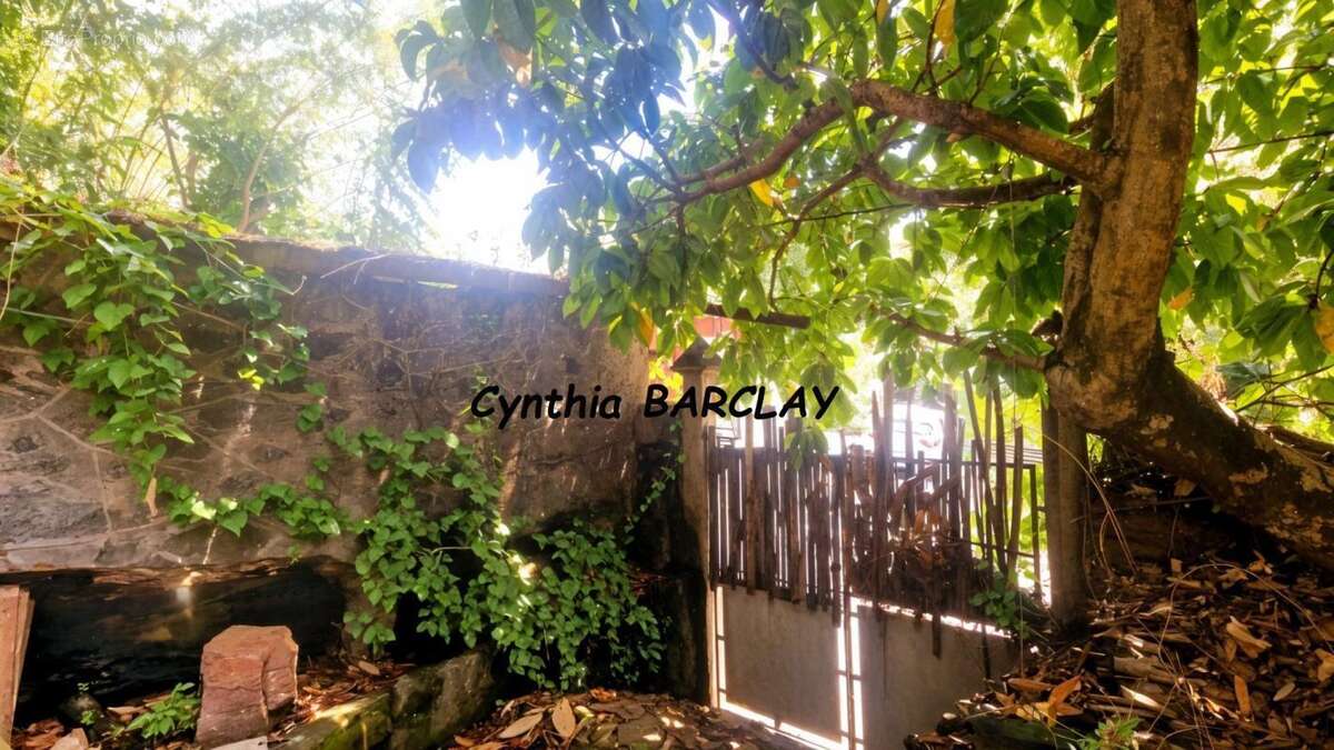 Terrain à FORT-DE-FRANCE