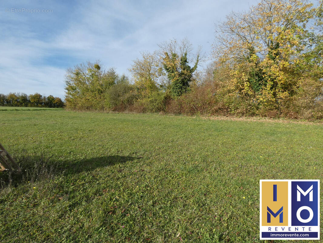 Terrain à SAINTE-SOLANGE