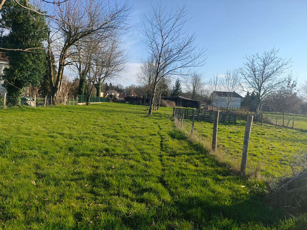 Terrain à PAGEAS