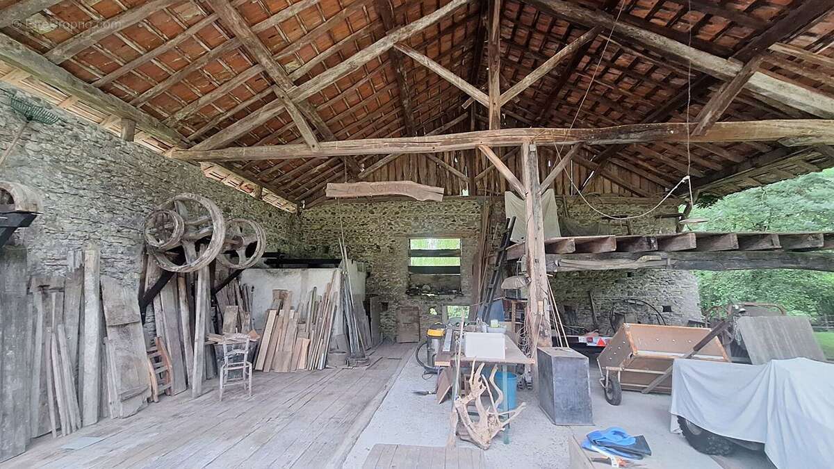 Ancien Moulin sur 5 hectares - photo 8