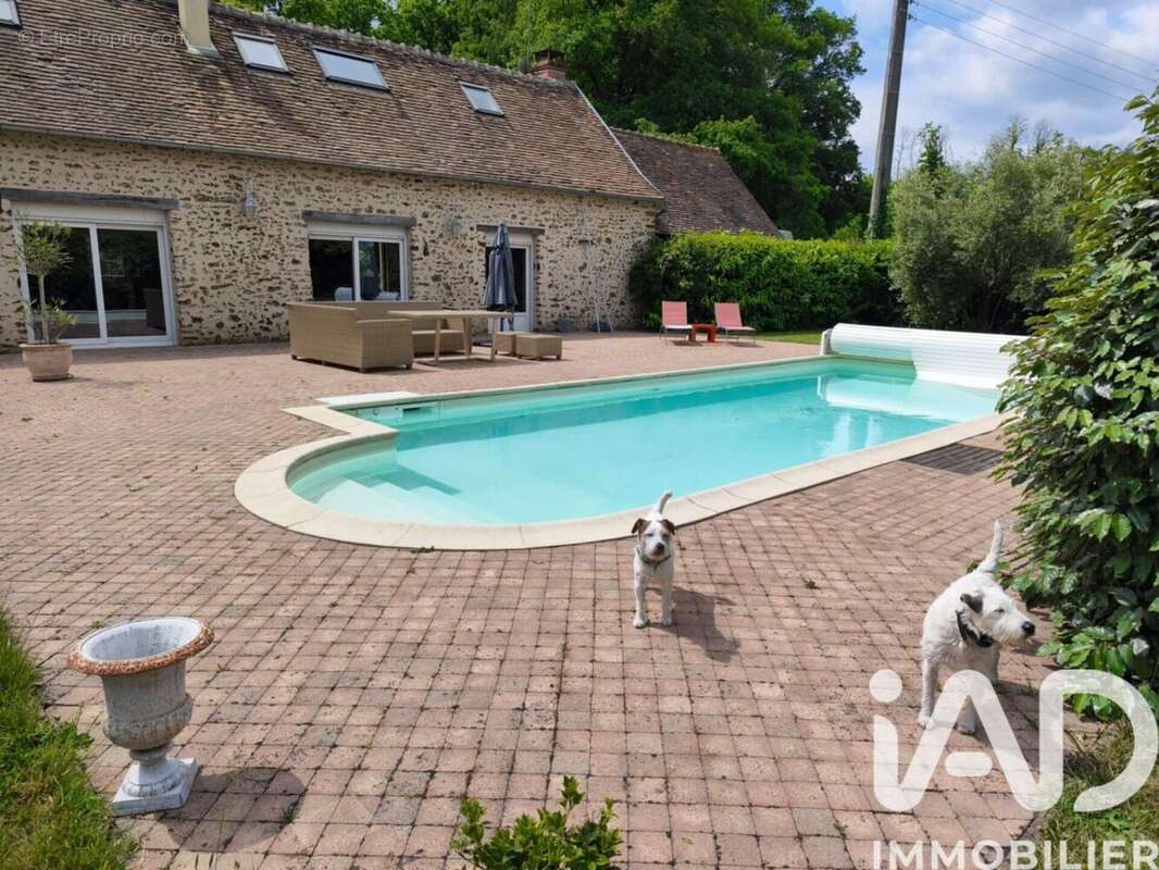 Photo 4 - Maison à MONCE-EN-BELIN