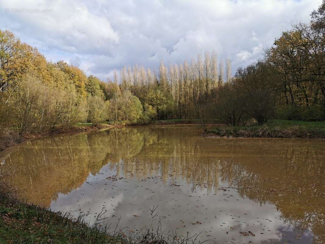 Terrain à SAINT-BRIEUC