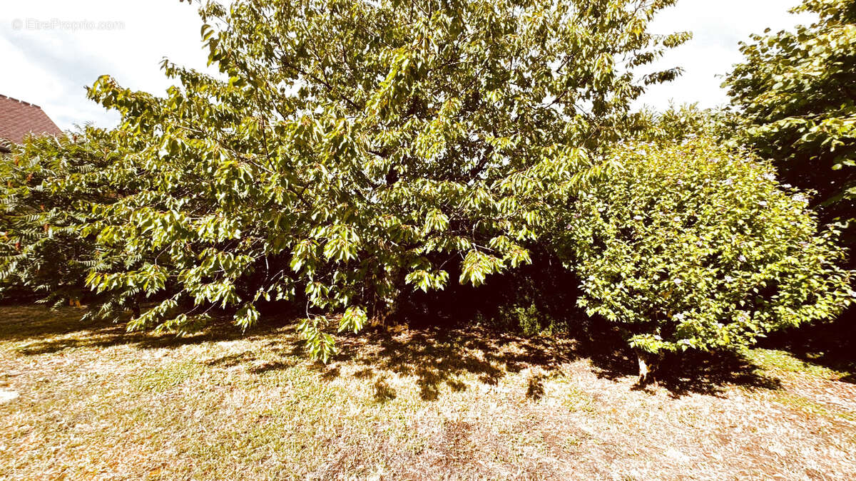 Maison à ASQUINS