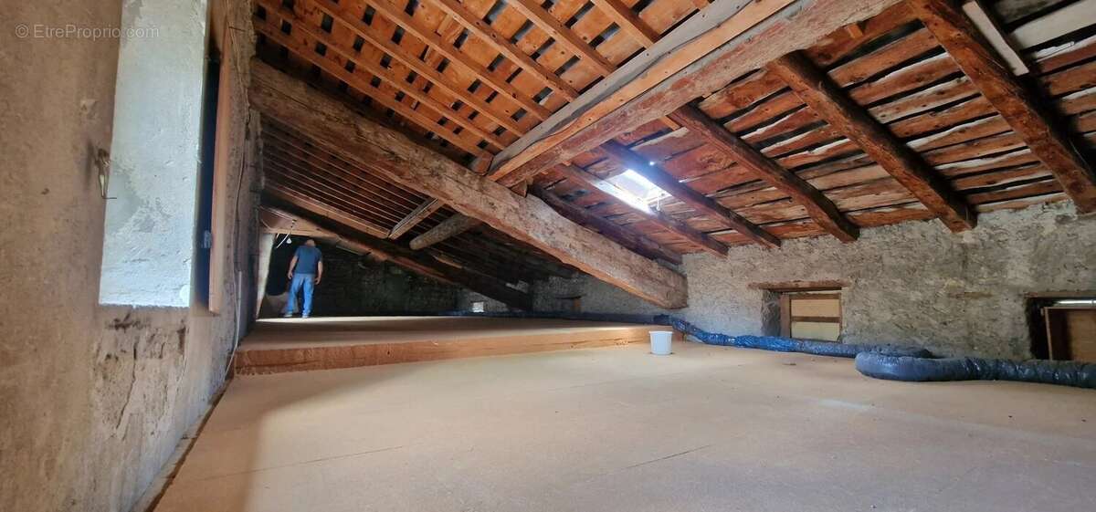Maison de ville avec garage, caves et espace indépendant - photo 6
