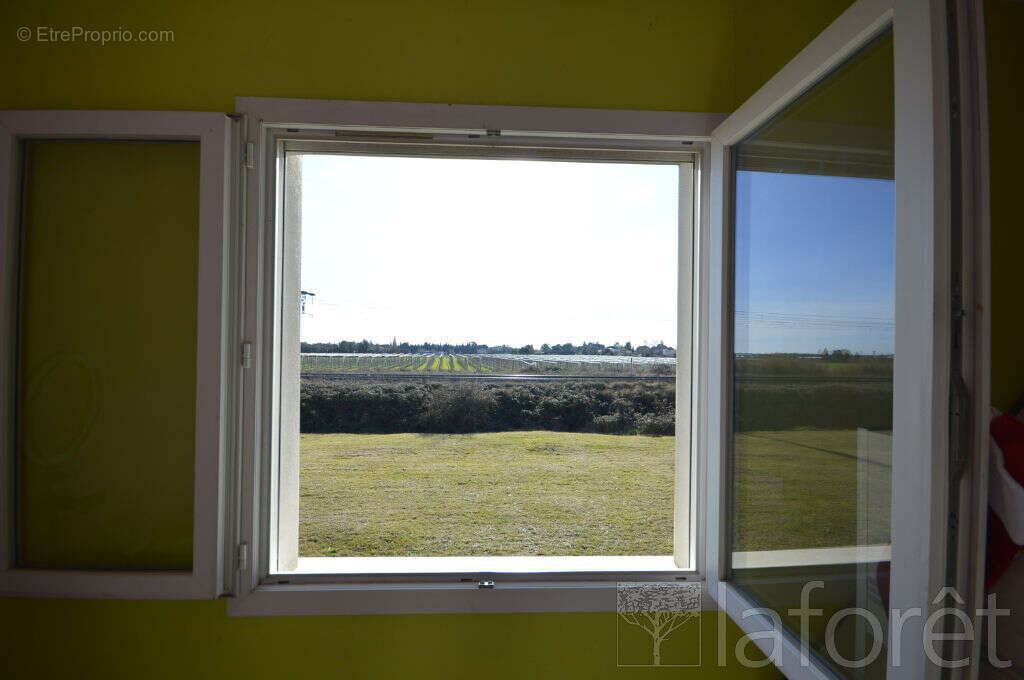 Maison à BAILLARGUES