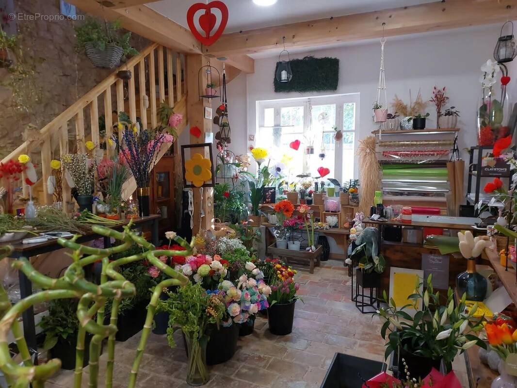 Commerce à LA ROQUE-D'ANTHERON