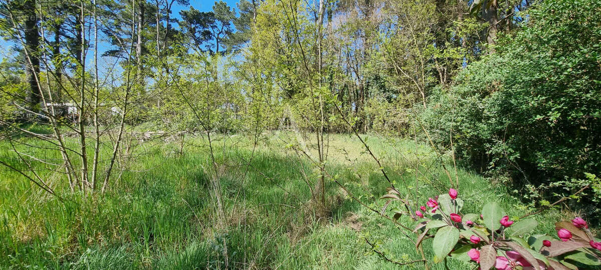 Terrain à SAINT-HILAIRE-DE-RIEZ