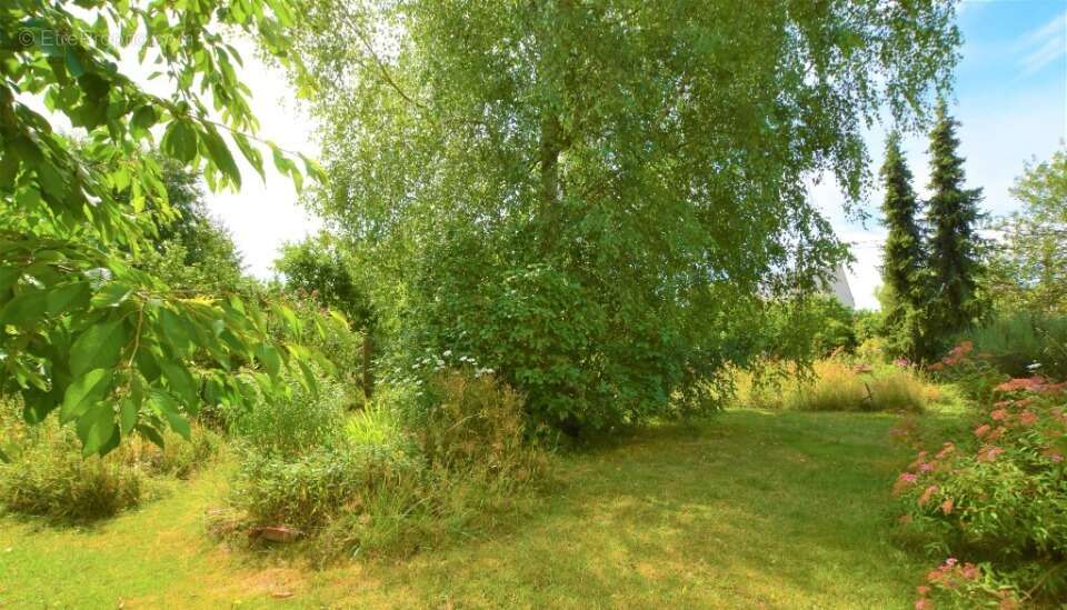 Terrain à LES ESSARTS-LE-ROI