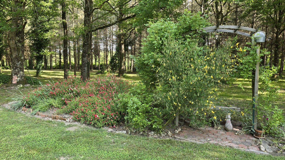 Maison à PRUNIERS-EN-SOLOGNE