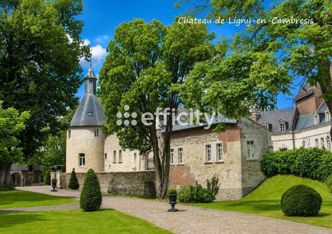 Maison 250 m² à Ligny-En-Cambresis  - photo 29
