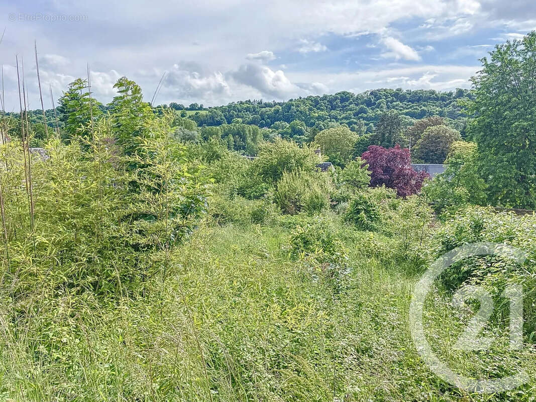 Terrain à TALMONTIERS