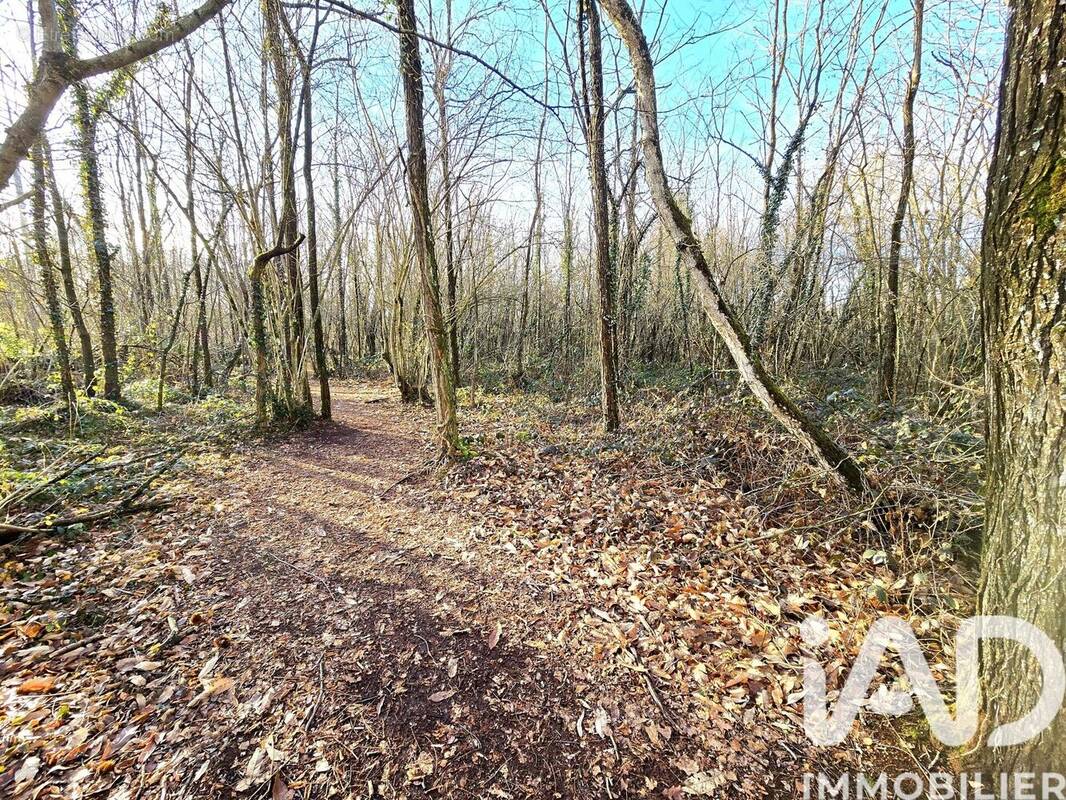 Photo 1 - Terrain à CAPVERN